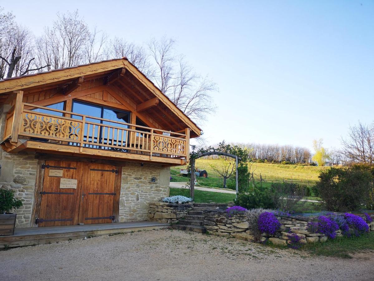 Chalet Le Clos De L'Orme Saint-Lattier Exterior photo
